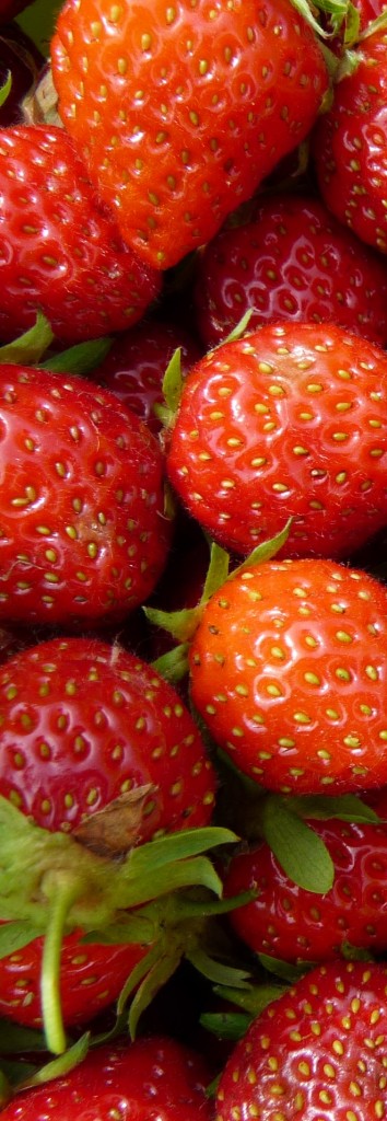 bande de fraises verticale