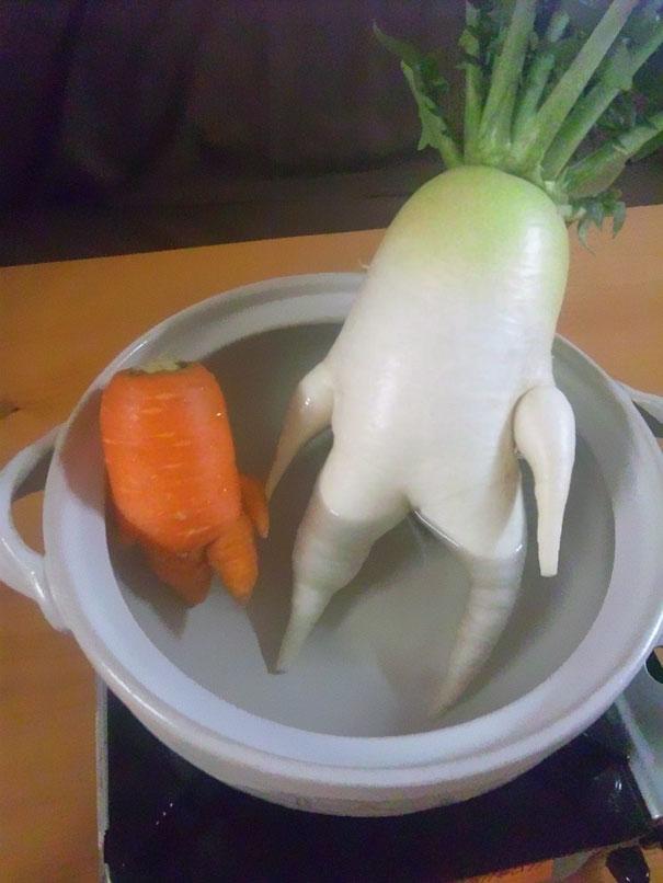funny-shaped-vegetables-fruits-15