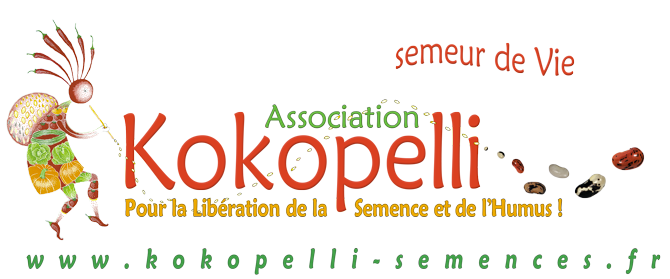 logo Kokopelli